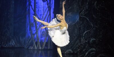 El lago de los cisnes