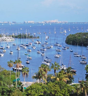 Coconut Grove is one of the coolest neighborhoods in the world