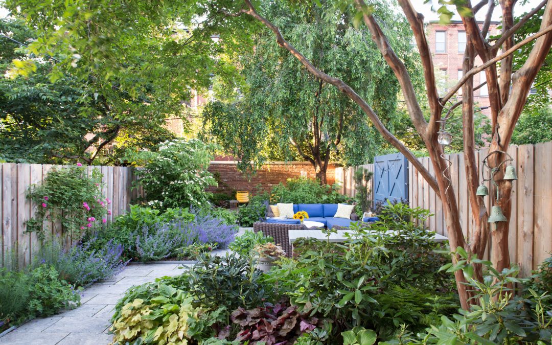 Creating a Garden Oasis in the City