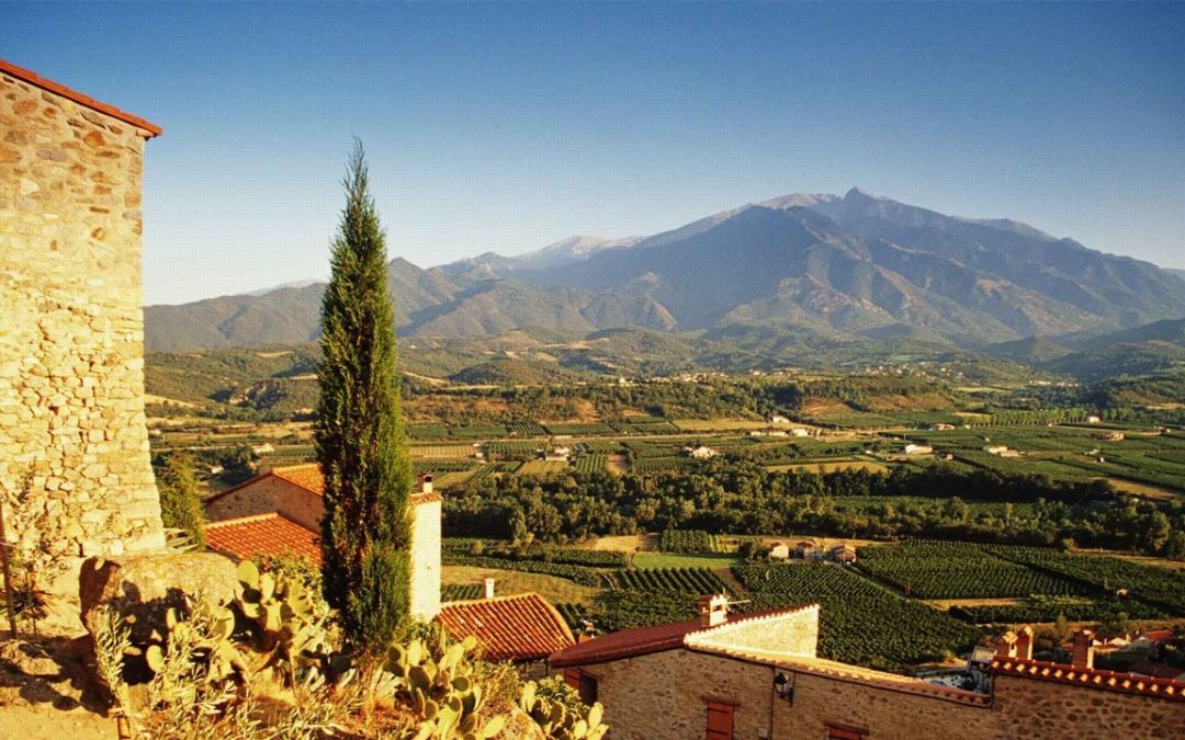 Down on French Wine? Give These Five Lesser-Known Regions a Taste