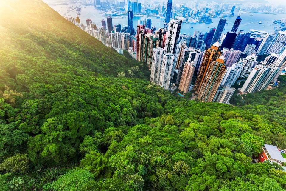 The Increased Importance Of Environmental Sustainability In Real Estate